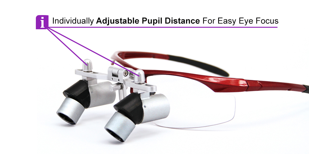 Ergo Prism Dental Surgical Loupes 4.0x
