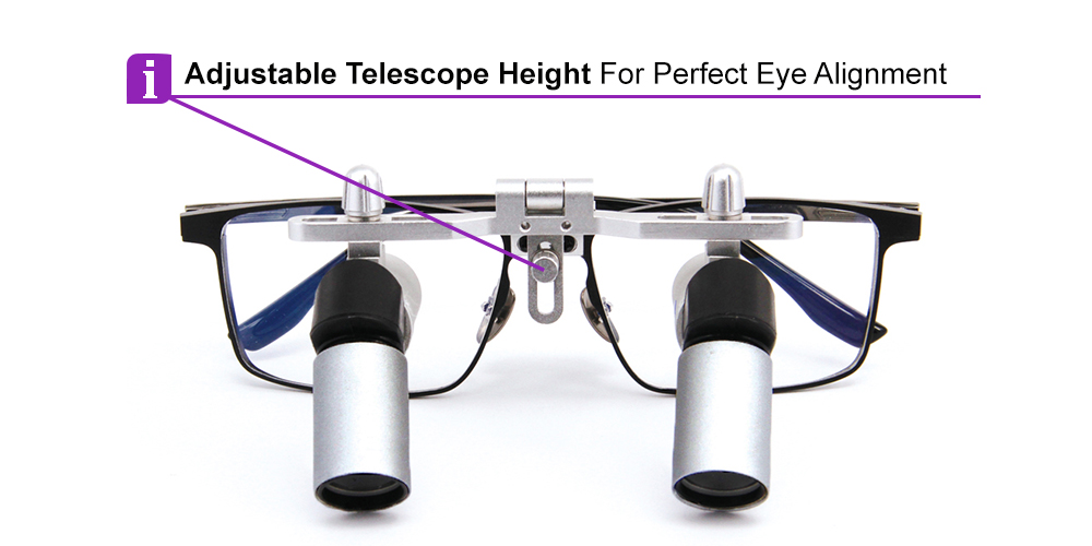 Ergo Prism Dental Surgical Loupes 6.0x